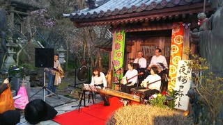 2019夜桜さなえ会.JPG