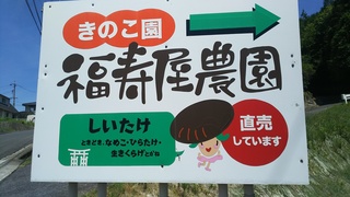 月見.JPG