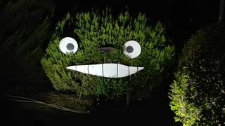 植物園2016.2.jpg