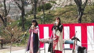 植物園さくら2.jpg