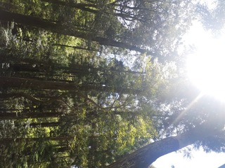 20250424_133629.jpg