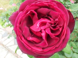 20250516_141418.jpg